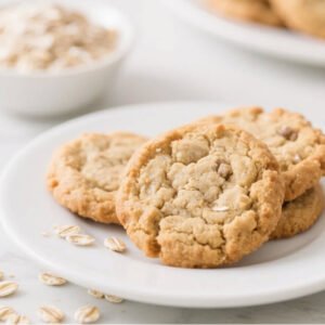 Healthy Oatmeal Diet Cookies